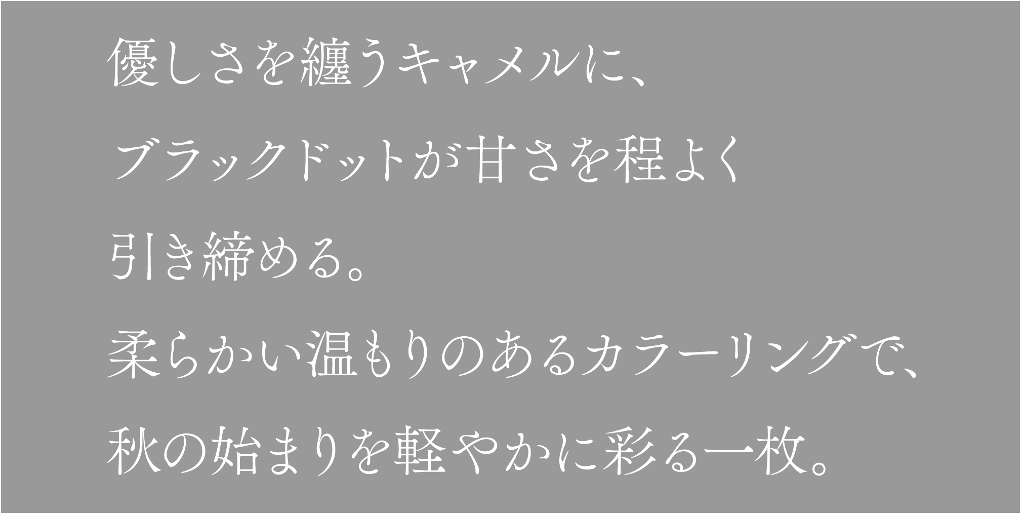 テキスト画像